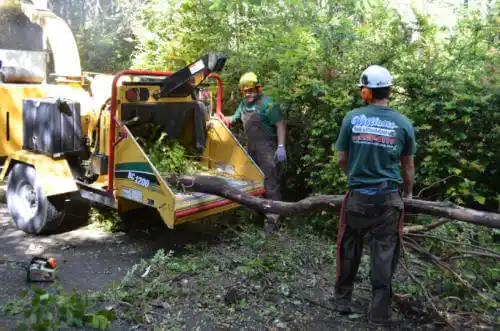 tree services Rocky Ford